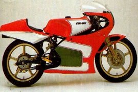  CAN-AM/ BRP 250 Road Racer 125 1984 - 1985
