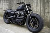 Harley-Davidson Sportster by Rough Crafts